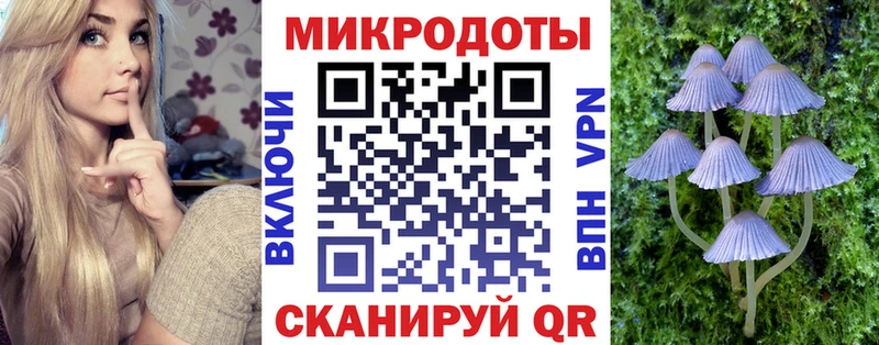Псилоцибиновые грибы Magic Shrooms  Купить где  Лермонтов 