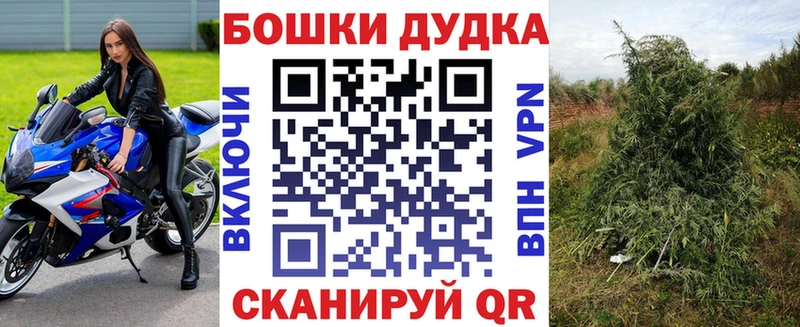 Конопля Ganja  Купить где  Лермонтов 